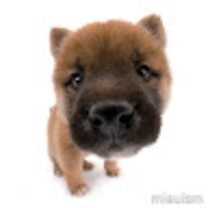 Meet your Posher, Haylee